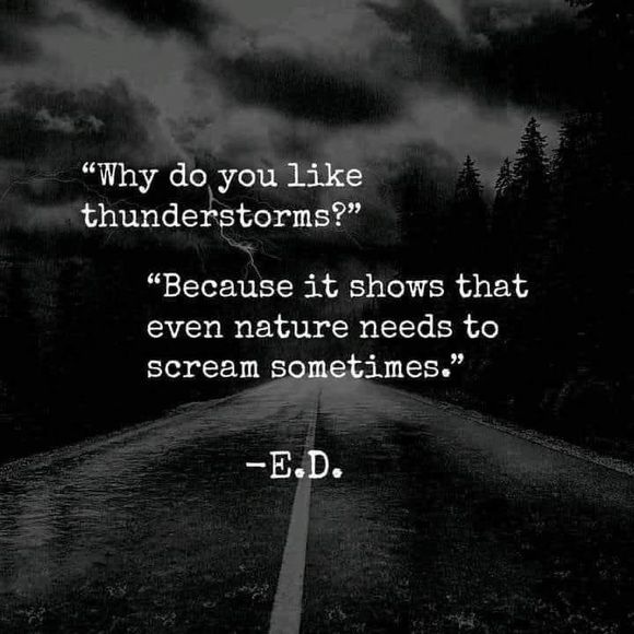 Meet your Posher, Tracey - Picture 6 of 7